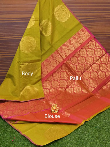 Border Less Kuppadam Silk Cotton Saree