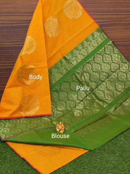 Border Less Kuppadam Silk Cotton Saree