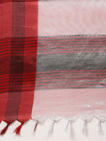 Load image into Gallery viewer, Attractive Stylish Silver Zari Linen Tissue Women&#39;s Sarees