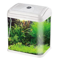 Load image into Gallery viewer, Imported Tanks for Aquarium