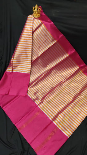Uppada Pure Cotton Tissue Stripe Saree